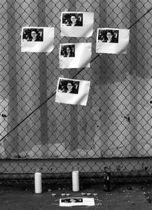 新闻诡异爆料最新视频,新闻诡异爆料背后的惊人真相  第1张